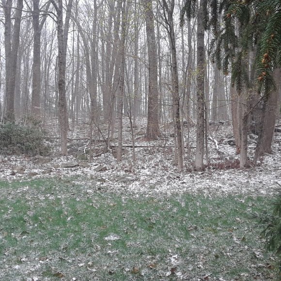 Meet your Posher, Posh - Picture 15 of 16